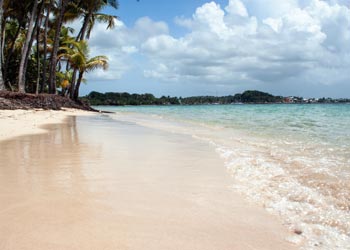 Résidences Seniors en Bord de Mer   dans le département de la Martinique