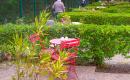 Vignette Les Résidentiels d'Olonne : Vue du jardin