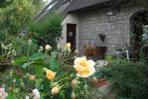 Jolie maison