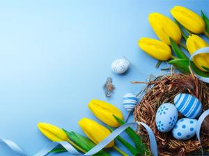  alt="COVID-19 & Résidence Senior : des fleurs pour égayer le quotidien des résidences services seniors Espace & Vie"