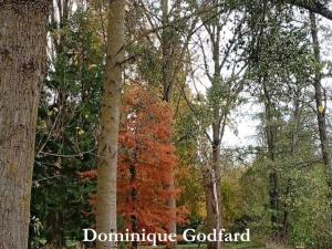  alt="Interview pour Capgeris.com Dominique GODFARD"