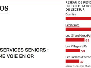 alt="RESIDENCES SERVICES SENIORS : nouvelle étude de marché signée Les Echos Etudes"