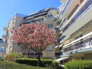  alt="Domitys annonce la reprise sous son pavillon de la résidence senior Le Bocage Tours Centre"