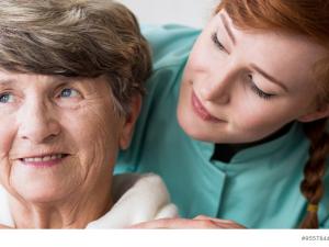  alt="Loi ASV et Allocation Personnalisée d'Autonomie à domicile"