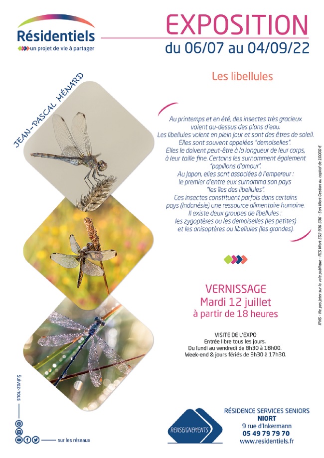 : Affiche exposition residence seniors niort juillet aout 2022